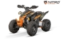 Preview: NITRO MOTORS 250cc maxi Quad Celavi RS10 4-Gang Manuell Platin Alu-Felge